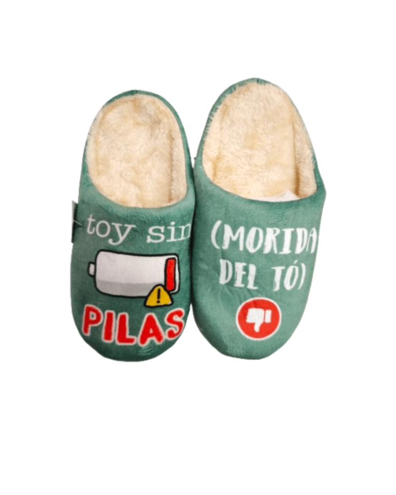 Zapatilla de Casa con mensaje toy sin pila morido del to